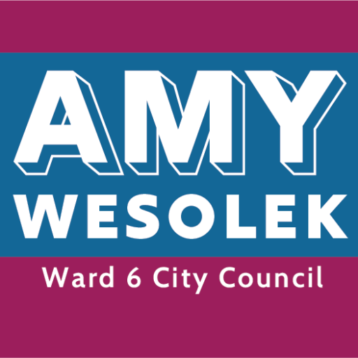 Amy Wesolek for Ward 6 City Council